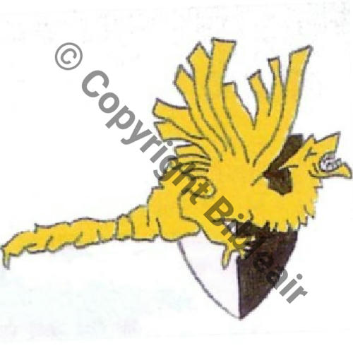 506.2 GAO.2.506 METZ GRAOUILLY Jaune  SM